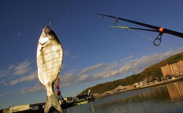La reina de las rompientes