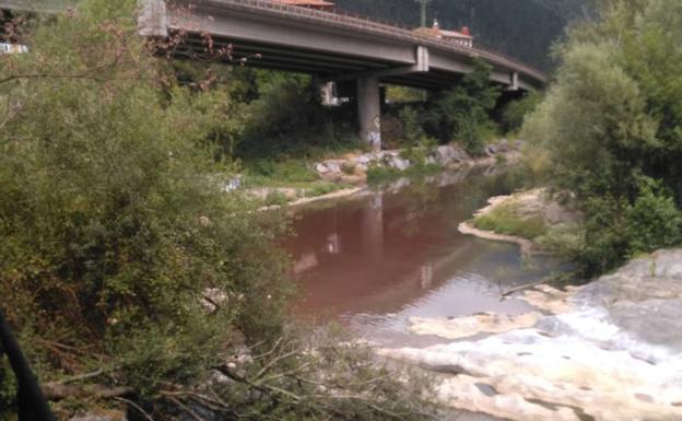 Los alcaldes piden que se archive la causa por vertidos de sangre del matadero en Llodio