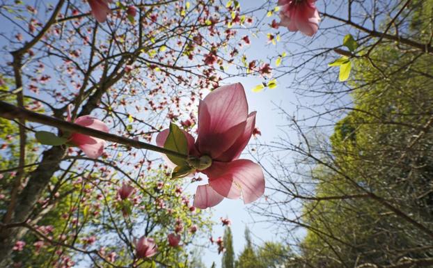 Cinco jardines donde respirar primavera