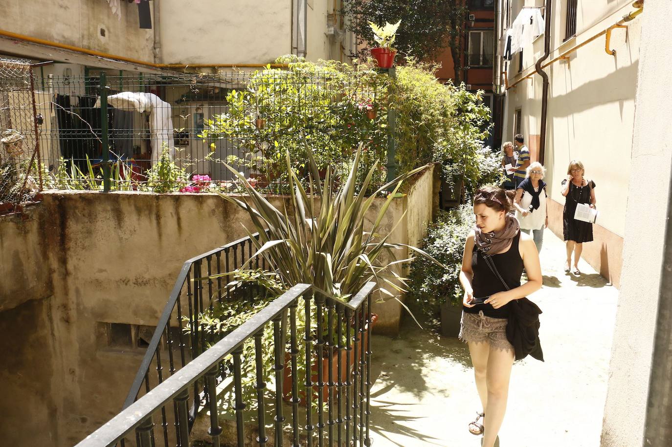 Ecologistas denuncian la poda agresiva y cortes de agua en los caños del Casco Viejo