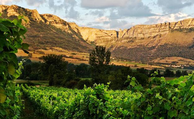 Valle de Ayala, un romance eterno con el txakoli