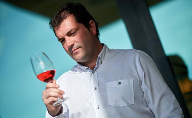 «'Viñedos de Álava' quiere crear algo que ni lo demanda el sector ni es necesario»