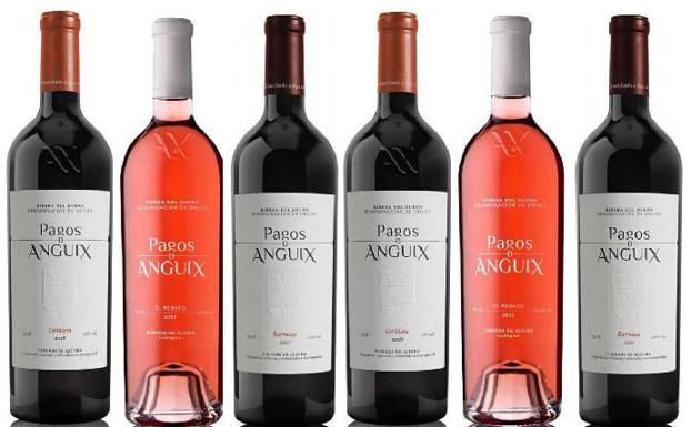 Pagos de Anguix lanza tres nuevos vinos