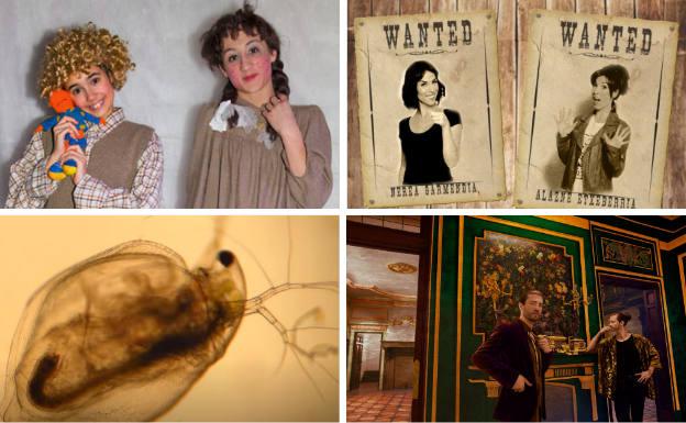 Los mejores planes culturales para el fin de semana en Álava