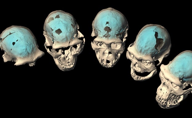 El cerebro humano moderno apareció en África hace solo 1,7 millones de años