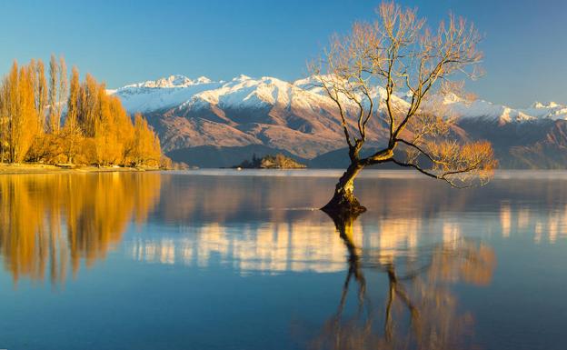 Zeelanda Berriko finantza erakunde eta enpresek ingurumenean duten kutsagarritasunaren berri eman beharko dute