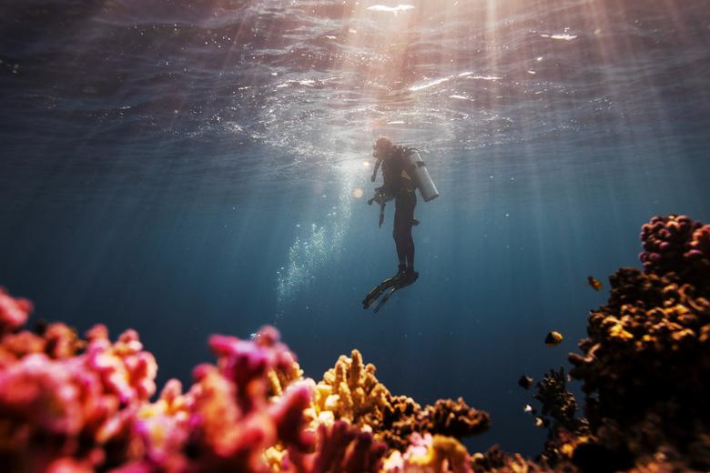 Científicos que luchan contra el cambio climático bajo el mar