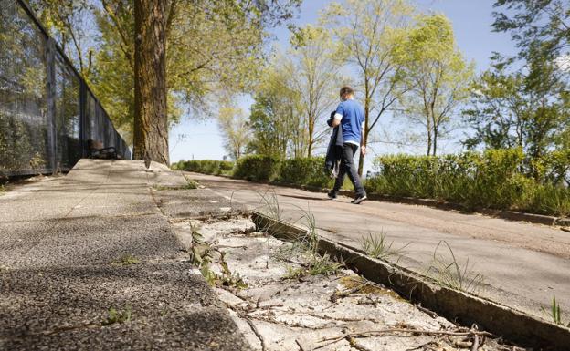 El paseo entre el bosque de Armentia y Olabide será más peatonal