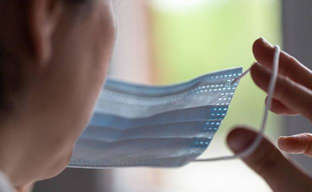 «No dan alergia, aunque sí pueden acentuar la dermatitis»