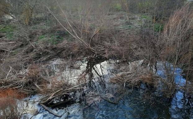 Ribera Baja Bizirik pide la limpieza del río Baias