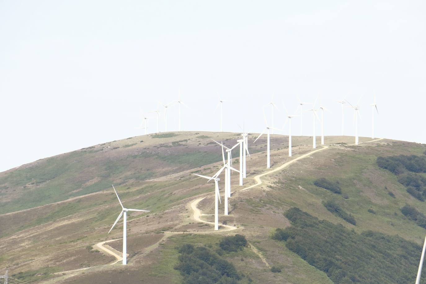 La oposición a las eólicas obliga a ampliar el periodo de alegaciones