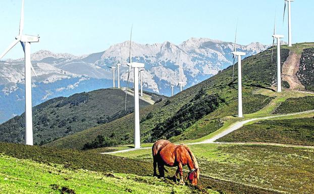 Los molinos de Iturrieta y Arkamo afectarán a aves necrófagas, murciélagos y al paisaje, alega Gaden