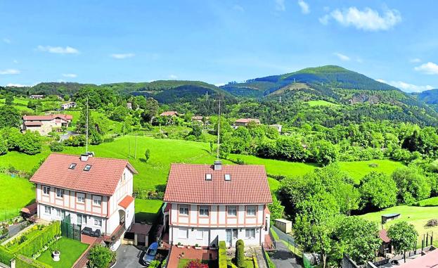 Zaratamo reducirá las plantaciones de pinos para mejorar la sostenibilidad