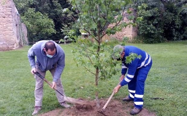 Moreda crea un espacio de educación ambiental