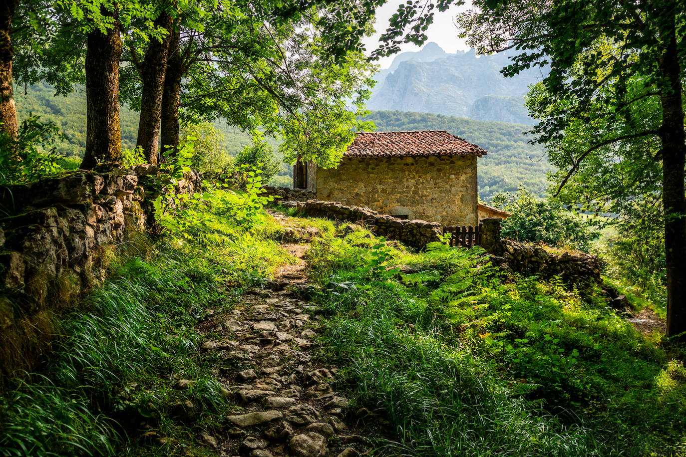 Ocho escapadas para perderse en la naturaleza entre parajes idílicos, cascadas y puentes