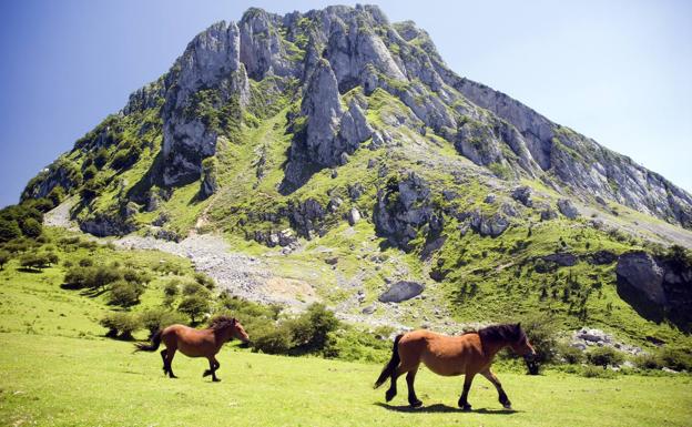 Gorbeialdeko Bertso Abentura egitasmoa ekainaren 22tik 24ra ospatuko da