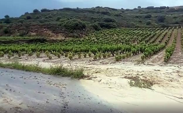 Una granizada daña cientos de hectáreas de viñedo y cereal en Rioja Alavesa