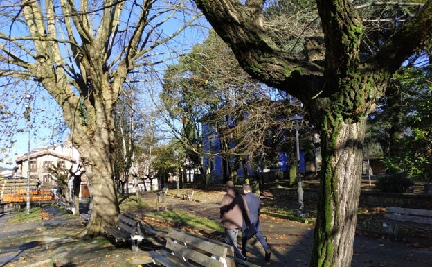 La Diputación rechaza habilitar un centro de día en Elorrio