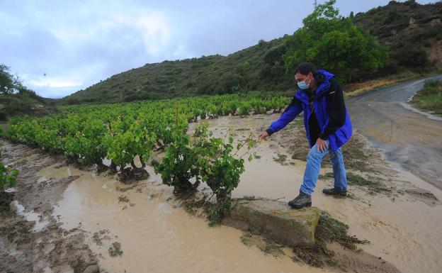 Los daños del granizo en Rioja Alavesa superan los 1,3 millones de euros y afectan a 1.400 hectáreas de viñas