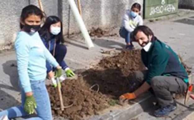 Larrabetzuko eskolako ikasleek zuhaitz inbaditzaile mota bat ordezkatu dute bertako espezieekin