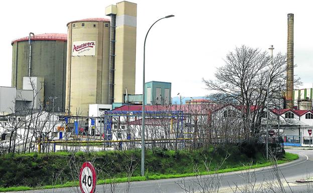 Azucarera cifra en 2.300 las hectáreas de remolacha que recogerá la próxima campaña
