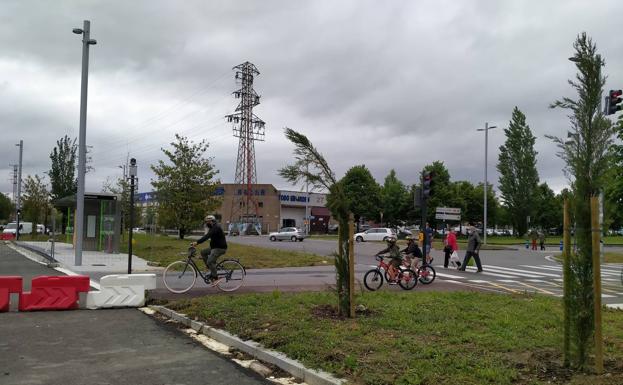 Vitoria aprovecha la obra del BEI para plantar 405 cipreses y 15.000 arbustos y flores