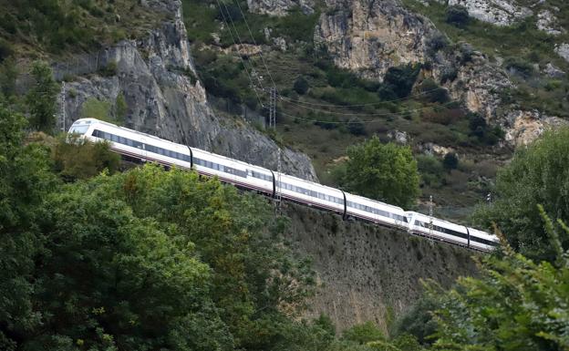 El AVE Burgos-Vitoria será más caro para proteger al visón europeo