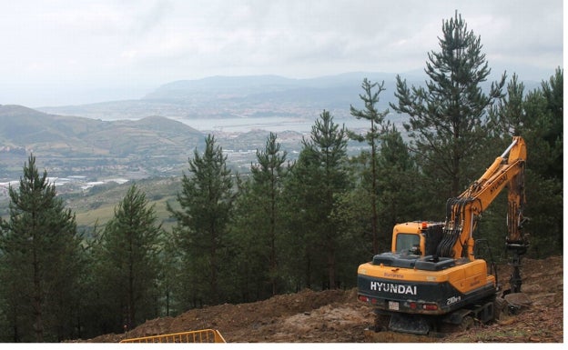 Red Eléctrica retoma la obra de la alta tensión Güeñes-Itsaso tras comprometerse a no actuar donde anidan alimoches