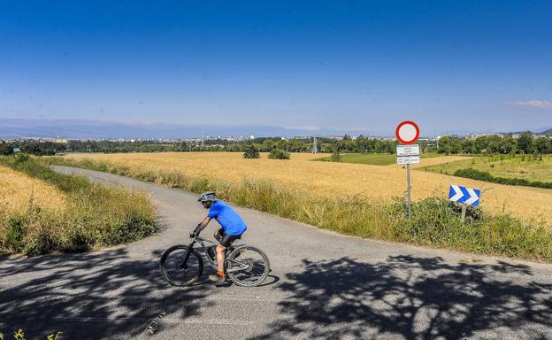 Urtaran dice que los terrenos de Uleta son un «fantástico trigal» para no construir sobre ellos