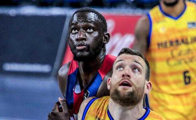 Ilimane Diop cierra su etapa en el Baskonia