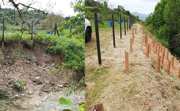 Revegetado un tramo del río Muera, en Añana, con técnicas de bioingeniería
