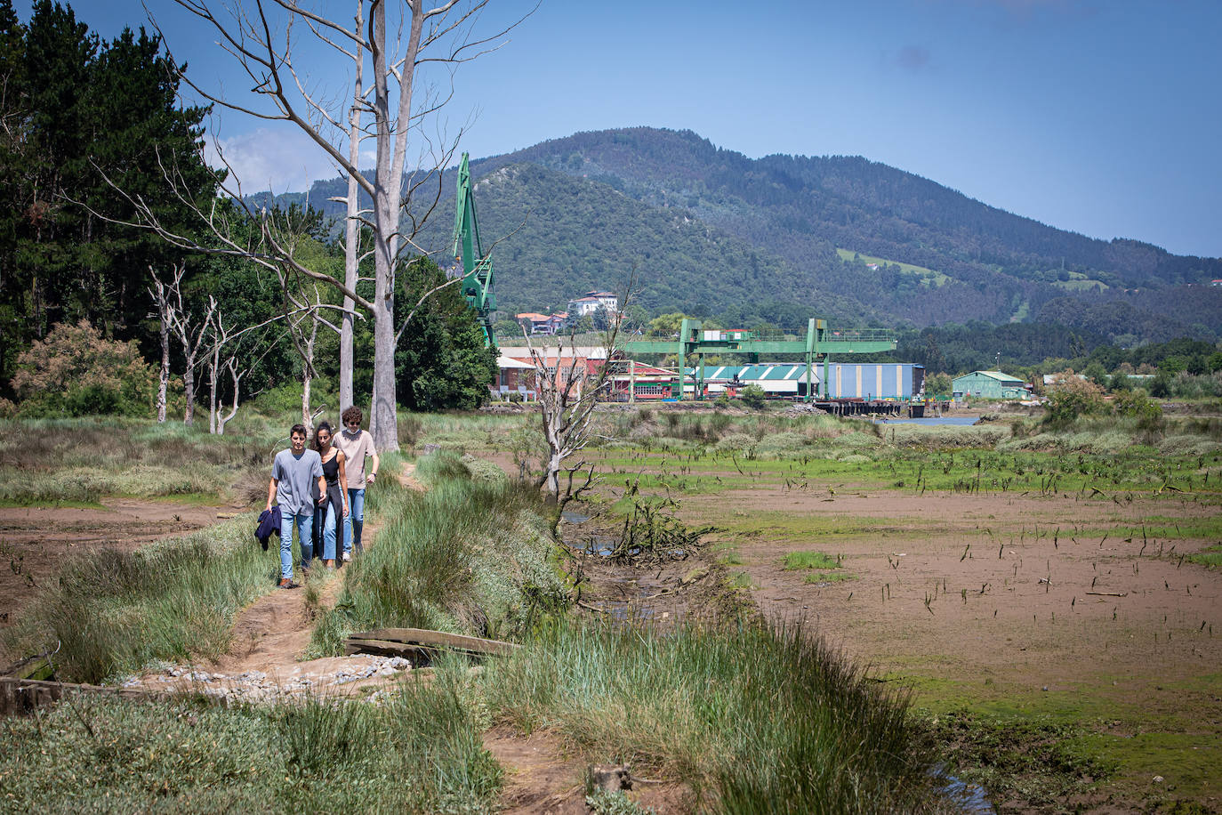 La Diputación asegura que el traslado de Astilleros Murueta no afectará «ni a la actividad de la empresa ni al empleo»