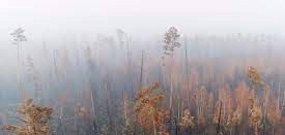 De nuevo fuertes incendios asolan Siberia | El Correo