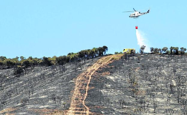 Una imprudencia arrasa un monte de La Rioja en el primer incendio grave del verano