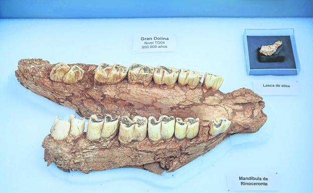 Una lasca adelanta en 100.000 años la presencia humana en Atapuerca