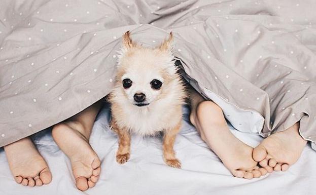 ¿Duermes mal? Te contamos cuáles son los trastornos más habituales del sueño (y cómo combatirlos)