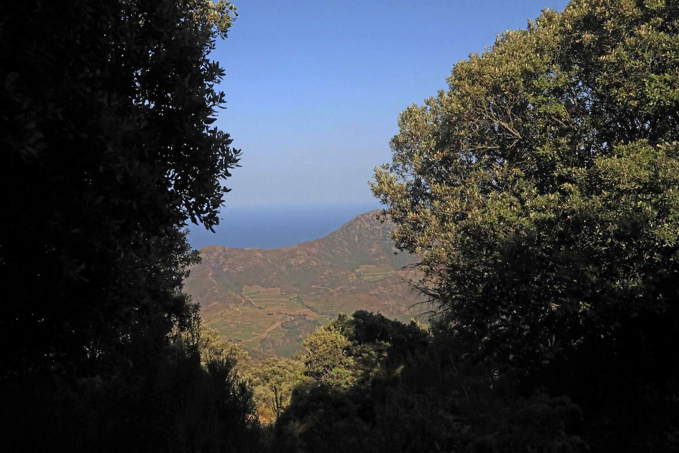 17 lugares que entran en la lista de Patrimonio Mundial de la Unesco