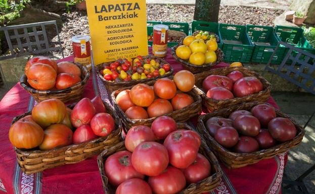 Al rescate de los tomates autóctonos