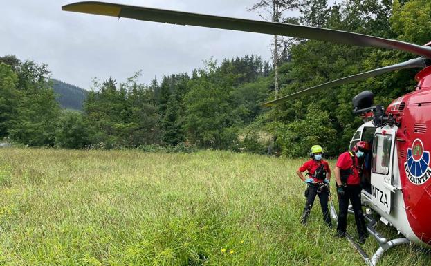 Muere un vecino de Aulesti al caerle la rama de un árbol que estaba cortando