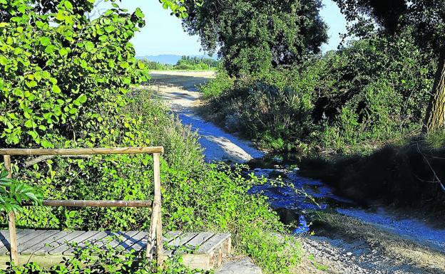 La CHE iniciará en septiembre las labores de conservación del Arroyo de Guinicio