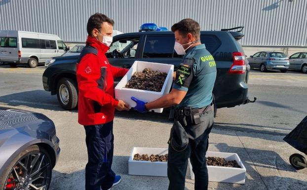 Percebes de furtivos para la residencia de mayores de Bermeo