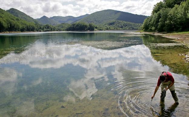 Un paseo por los bosques de Aralar