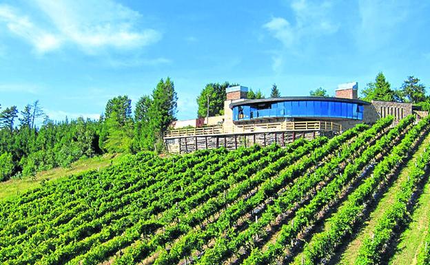 Urdaibai exprimirá a partir del viernes un fin de semana lleno de experiencias 'Entre Viñedos'