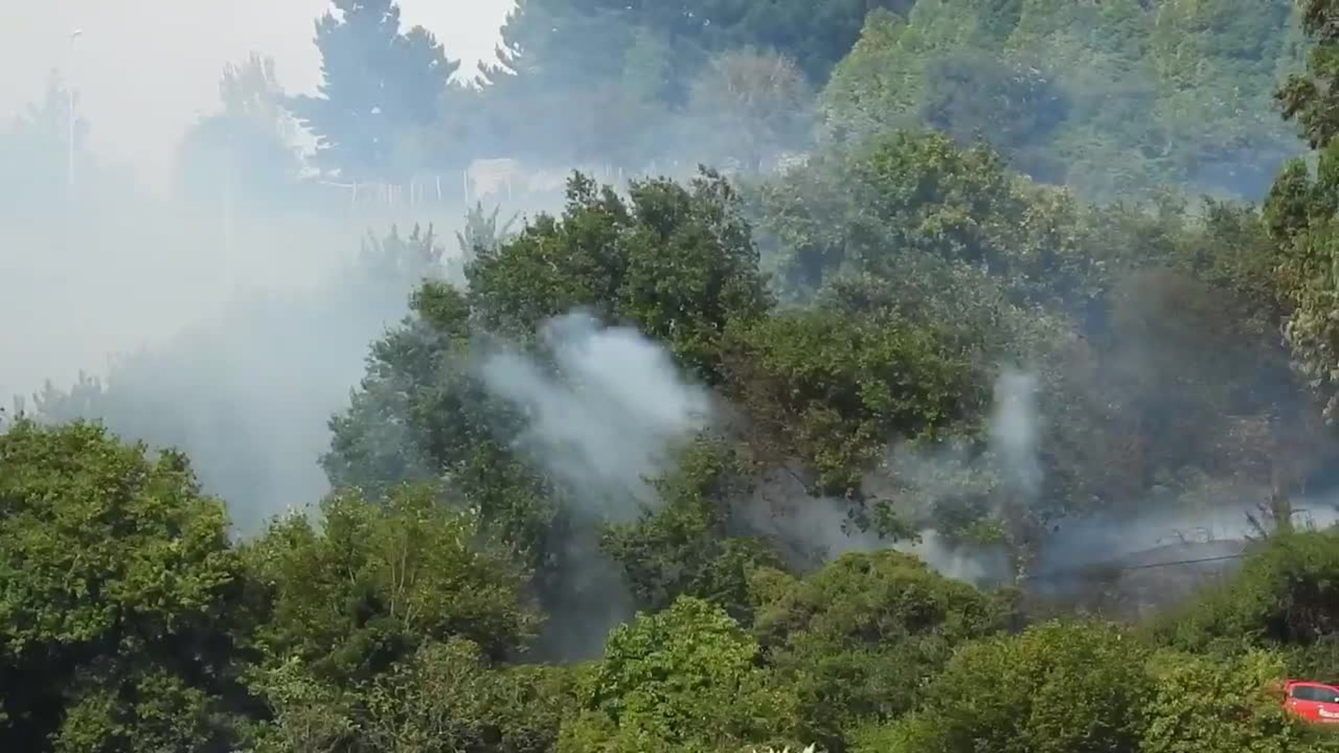 El Bosque De Los Deseos Leioa Los bomberos sofocan una quema de rastrojos que se había descontrolado en  Leioa | El Correo