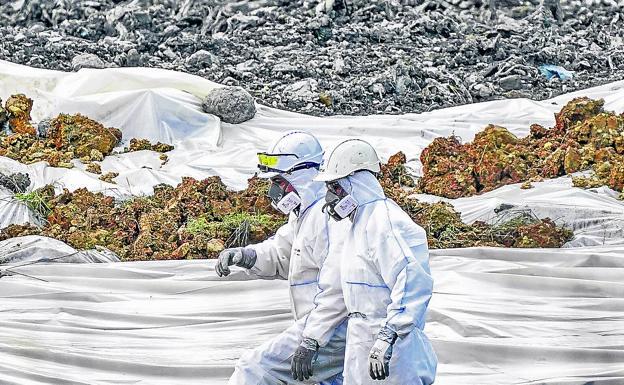 Jueces, fiscales y ecologistas derivan a la Guardia Civil denuncias medioambientales