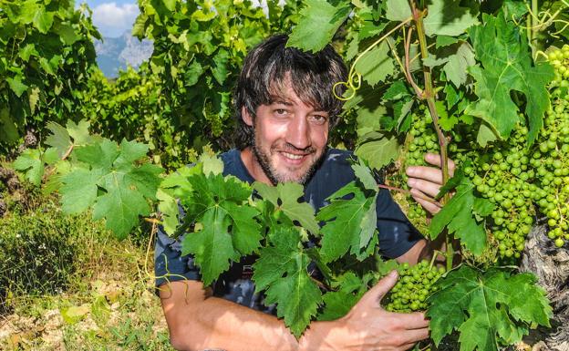 Las bodegas de ABRA renuevan su junta sin una estrategia para detener la secesión