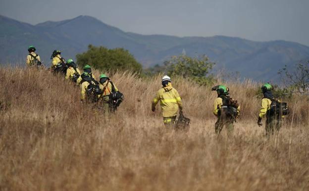 Las cenizas provocan otro incendio que obliga al desalojo preventivo de Jubrique y Genalguacil