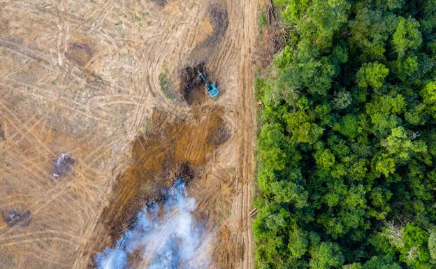 Sekula baino ekologista gehiago erail zituzten iaz