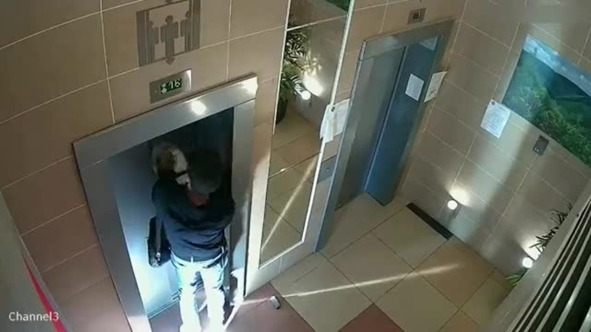 Un perro se salva de morir ahorcado en un ascensor en Moscú | El Correo