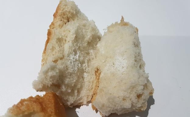 Hallan comida envenenada para perros en un parque de Sodupe por tercera vez este año